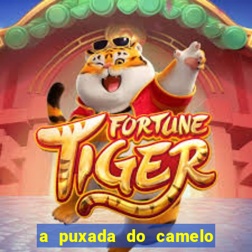 a puxada do camelo no jogo do bicho